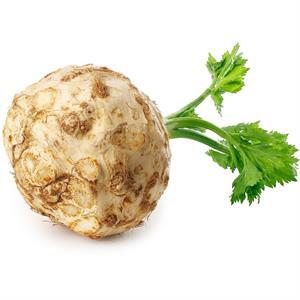 Celery Knob