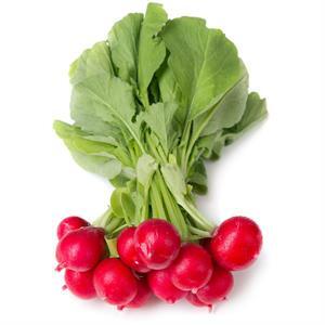 Radishes, Red Bunch