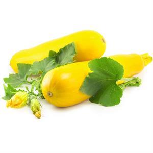 Squash Yellow