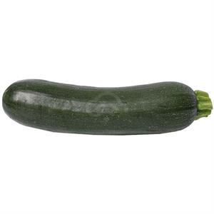 Green Zucchini Squash