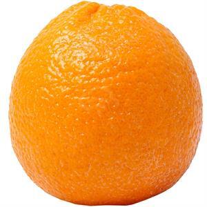 Oranges Large