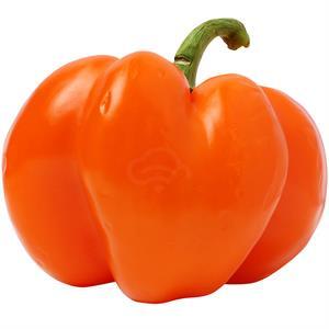 Pepper Orange