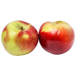 Apple Macintosh