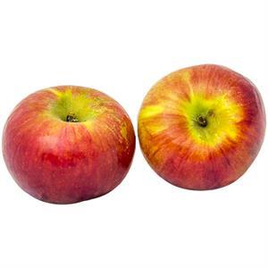 Apple Cortland