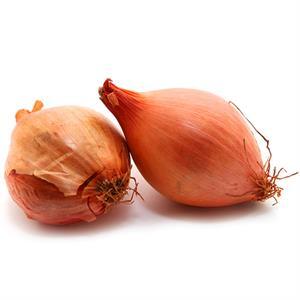 Onion Shallot