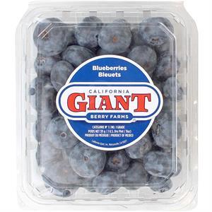 Giant Blueberries Organic, 16 Oz